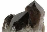 Dark Smoky Quartz Crystal Cluster - Brazil #84803-2